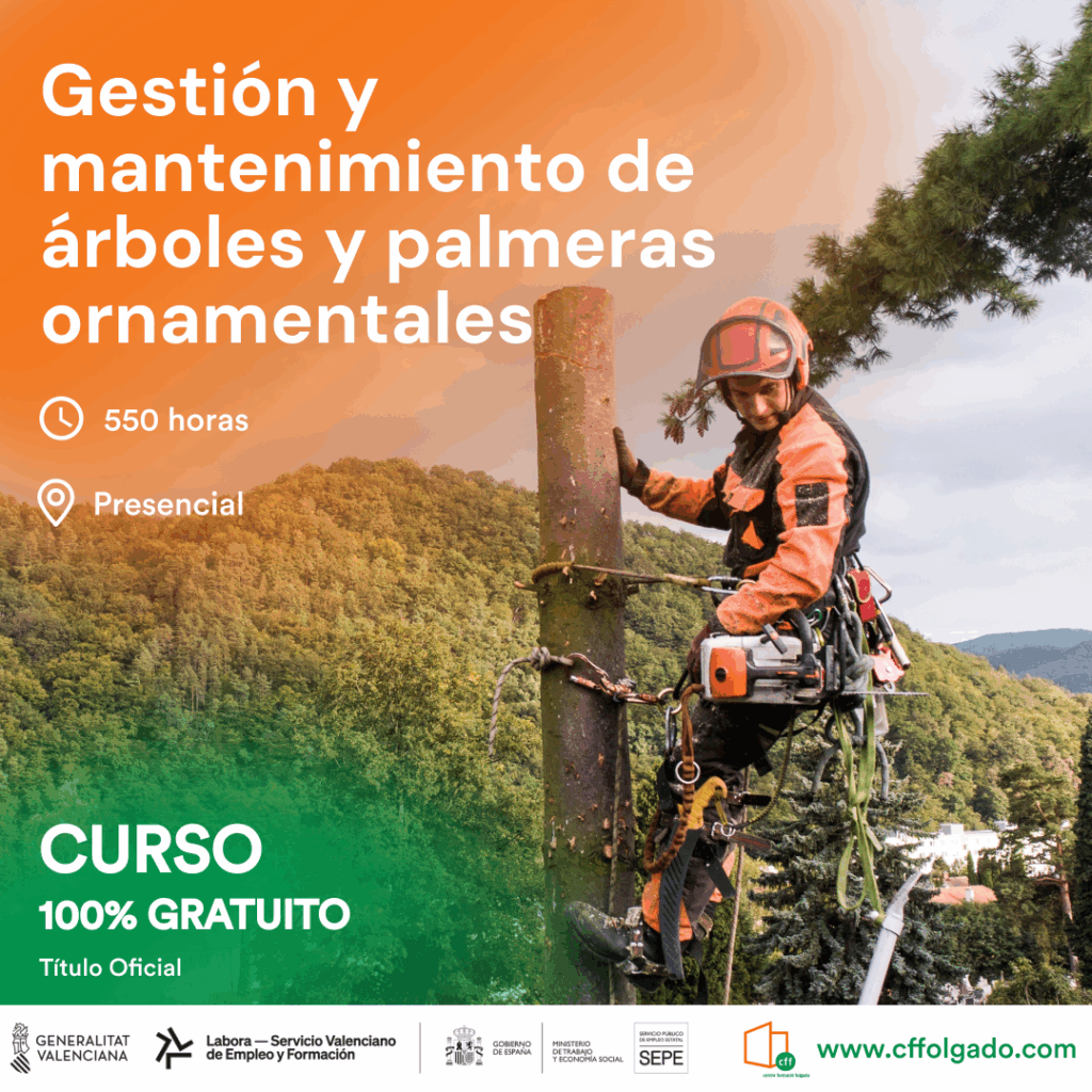 Gestión y mantenimiento de árboles y palmeras ornamentales